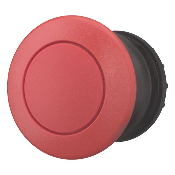 Mushroom actuator, RMQ-Titan, Mushroom, maintained, Mushroom red, red, Blank, Bezel: black image 2