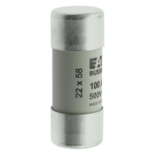 Fuse-link, LV, 100 A, AC 500 V, 22 x 58 mm, gL/gG, IEC image 22