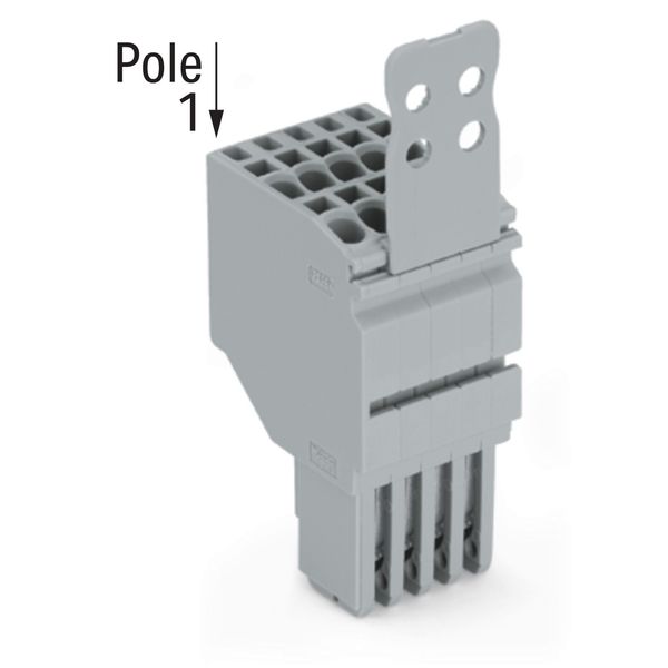 2-conductor female connector Push-in CAGE CLAMP® 1.5 mm² gray image 2