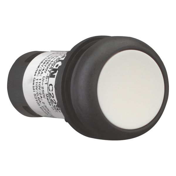 Pushbutton, Flat, momentary, 1 NC, 1 N/O, Screw connection, White, Blank, Bezel: black image 13