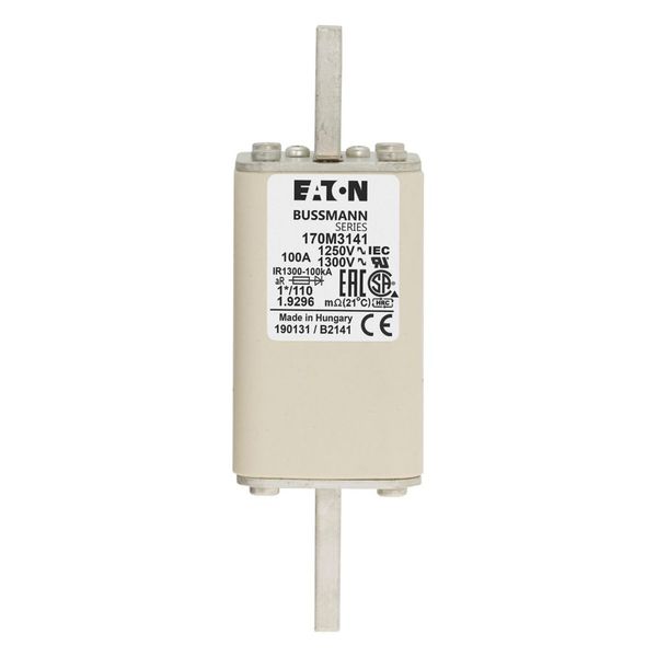 100A 1250V HS 1*/110 aR INDICATOR FUSE image 12