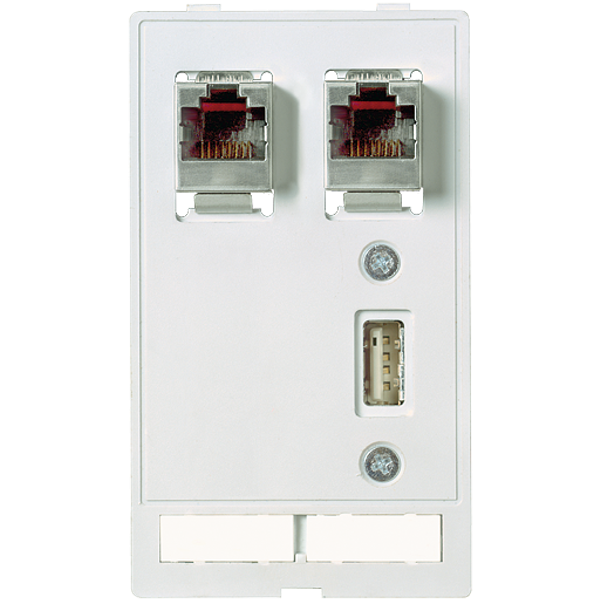 MODLINK MSDD DATA  INSERT 1×USB-A female/female + 2×RJ45 image 1