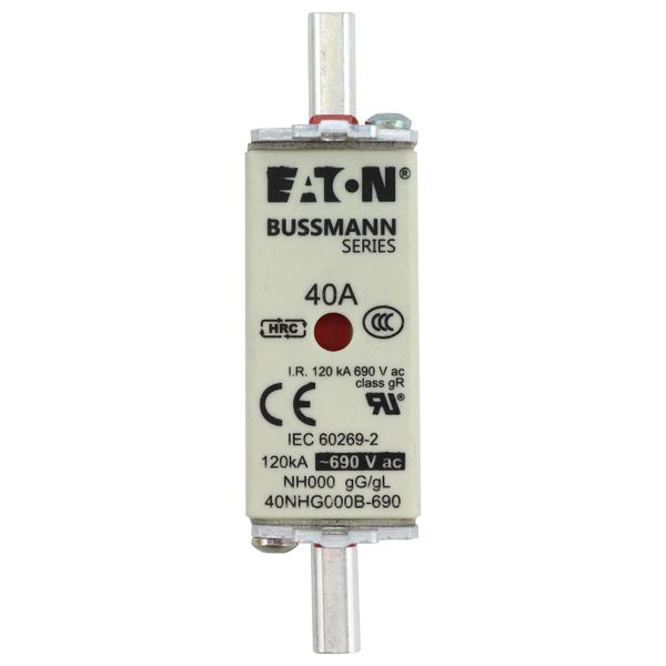 Fuse-link, LV, 40 A, AC 690 V, NH000, gL/gG, IEC, dual indicator, live gripping lugs image 9