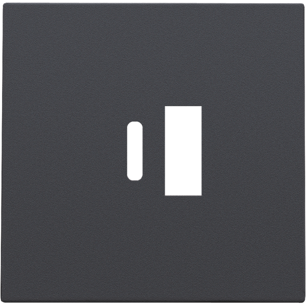 Finishing set for dual smart USB-A and USB-C charger, anthracite coate image 2