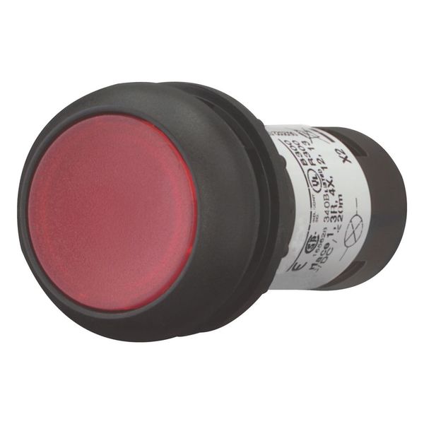 Illuminated pushbutton actuator, Flat, maintained, 1 NC, Screw connection, LED Red, red, Blank, 230 V AC, Bezel: black image 11