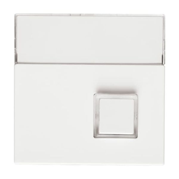 1572 CN-214 CoverPlates (partly incl. Insert) carat® Alpine white image 8