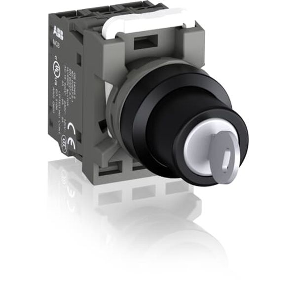 M2SSK2-201-10 Selector Switch image 2