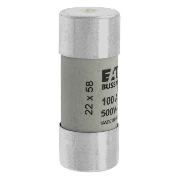 Fuse-link, LV, 100 A, AC 500 V, 22 x 58 mm, gL/gG, IEC, with striker image 11