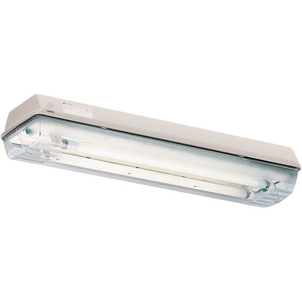 Ex-Linear light fitting with emergency light function for zone 2/21, Variant: nLLK 08018/18 V-CG-S 2/6-2K image 4