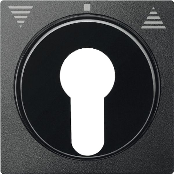 Cen.pl. f. DIN cylinder key switch insrts f. roller shut.s, anthracite, System M image 3