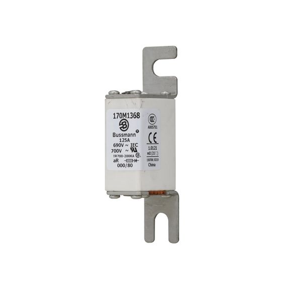 Fuse-link, high speed, 125 A, AC 690 V, DIN 000, 21 x 40 x 100 mm, aR, DIN, IEC, single indicator image 5