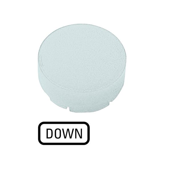 Button lens, raised white, DOWN image 3