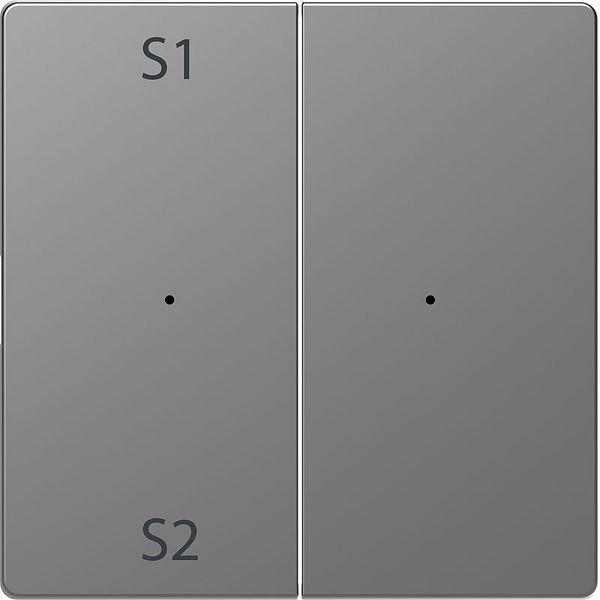 Rockers for button module 2-fold (Scene 1/2, blank), stainless steel, system design image 1