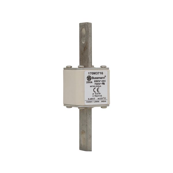 Fuse-link, high speed, 250 A, AC 690 V, compact size 1, 45 x 45 x 148 mm, aR, IEC, UL image 11