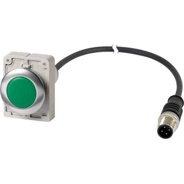 Indicator light, Flat, Cable (black) with M12A plug, 4 pole, 1 m, Lens green, LED green, 24 V AC/DC image 3