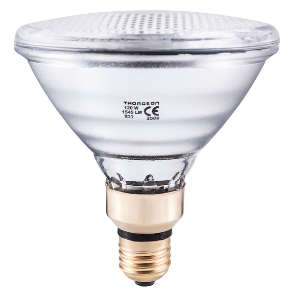 Halogen Lamp 120W E27 PAR38 24V 10° THORGEON image 1