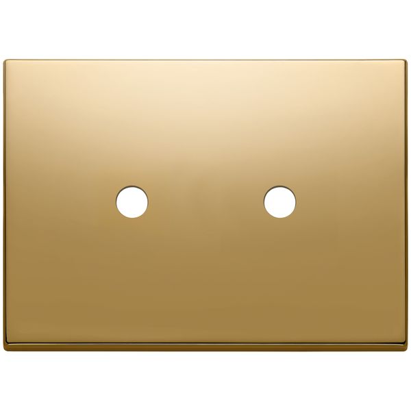 Plate 3Mx2 Tondo gold image 1