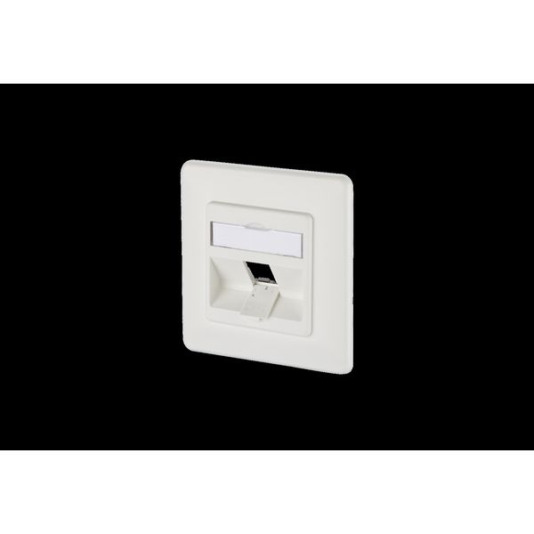 Modul wall outlet flush mounted 1 port unequipped pure white image 1