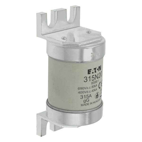 Fuse-link, low voltage, 315 A, AC 660 V, BS88, 49 x 110 mm, gL/gG, BS image 29