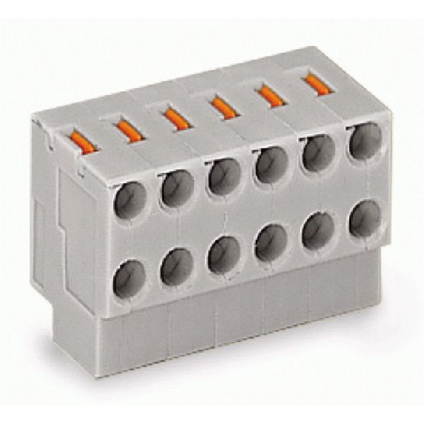 2-conductor female connector push-button PUSH WIRE® gray image 2