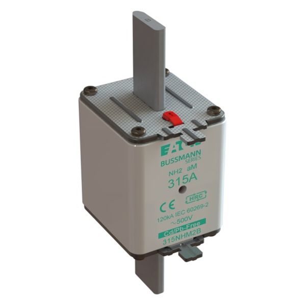 Fuse-link, low voltage, 315 A, AC 500 V, NH2, aM, IEC, dual indicator image 3