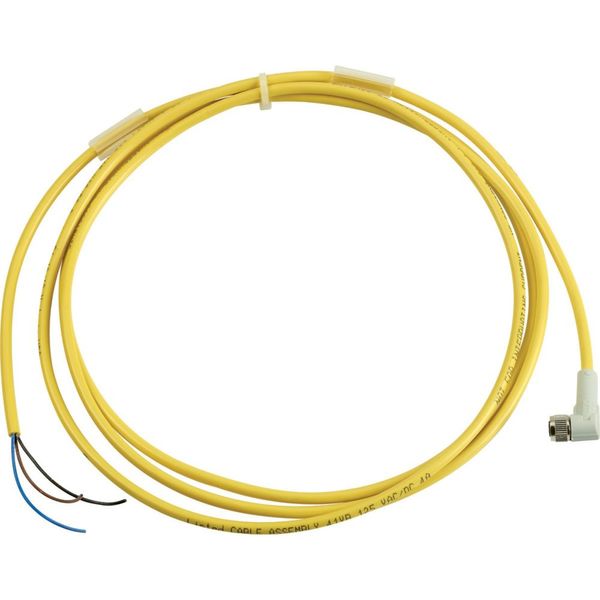 Connection cable 3 pole, flat/open, 2m image 4