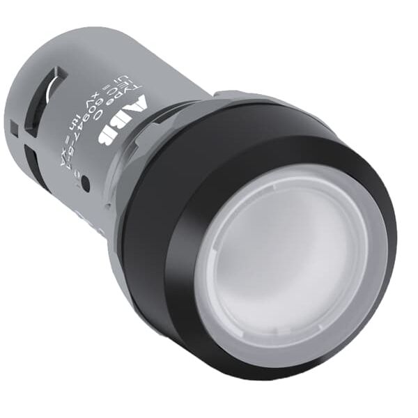 PUSHBUTTON CP2-12C-10 image 1