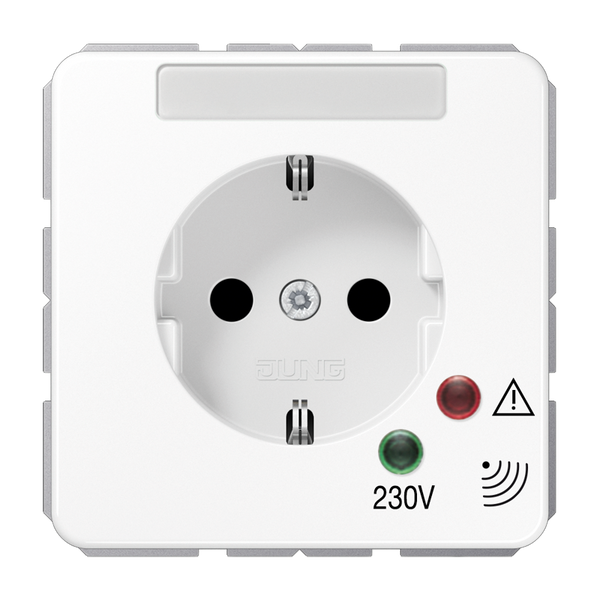 Socket w. Overv.Protection CD521NAUFWW image 2