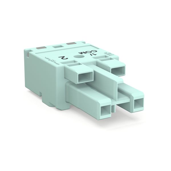 Socket;2-pole;Cod. B;light turquoise image 1