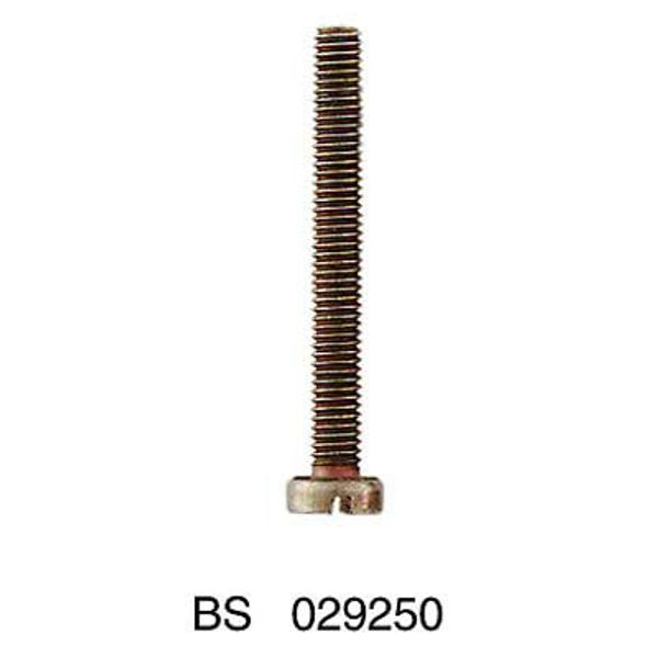 Mounting screw (Terminal) image 2