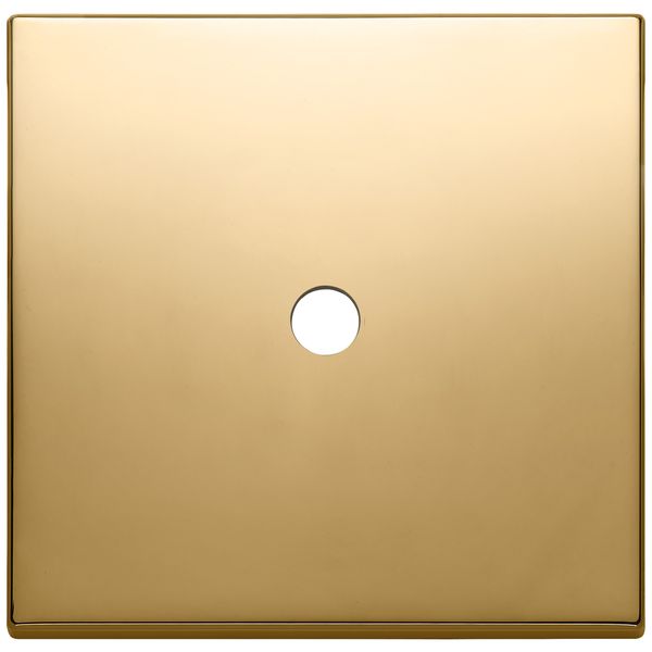 Plate 2Mx1 Tondo gold image 1