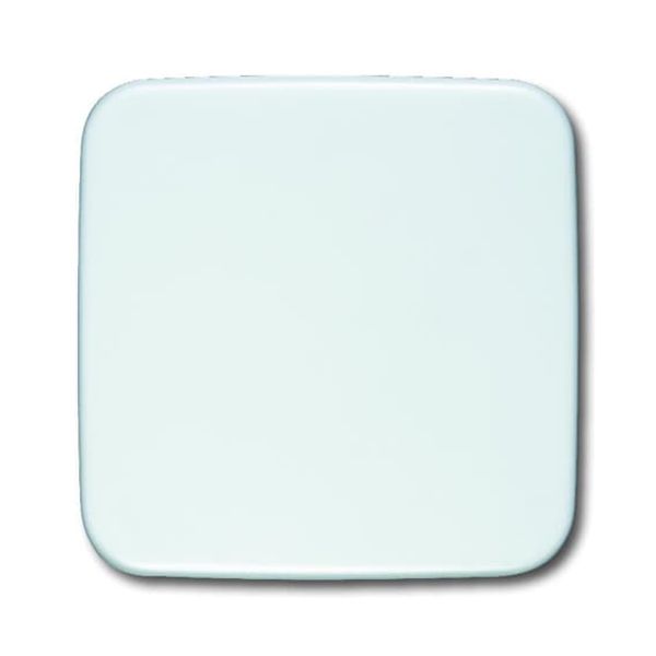 1576 C-214 CoverPlates (partly incl. Insert) carat® Alpine white image 2