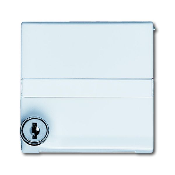 2118 GKSLN-32 CoverPlates (partly incl. Insert) Flush-mounted, water-protected, special connecting devices White image 1