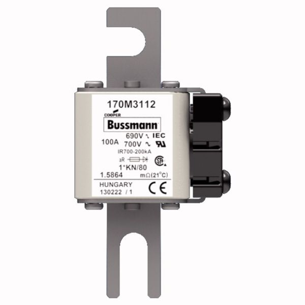 Fuse-link, high speed, 100 A, AC 690 V, compact DIN 1, 45 x 59 x 104 mm, aR, DIN, IEC, single indicator image 1