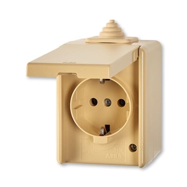 5518-3929 D Socket outlet with earthing contacts, with hinged lid image 1