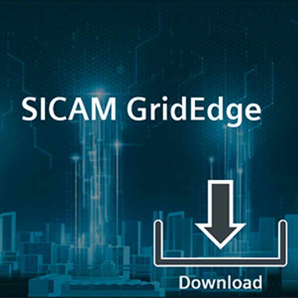 Siemens 6MD78812AA40 image 2