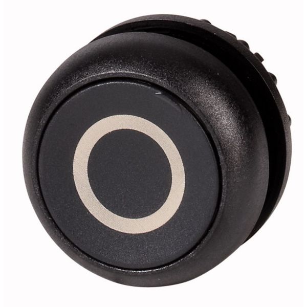 Pushbutton, RMQ-Titan, Flat, momentary, black, inscribed, Bezel: black image 1