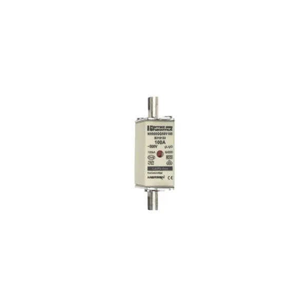 Fuse-link NH000 gG 500VAC 100A live tags Double indicator image 2