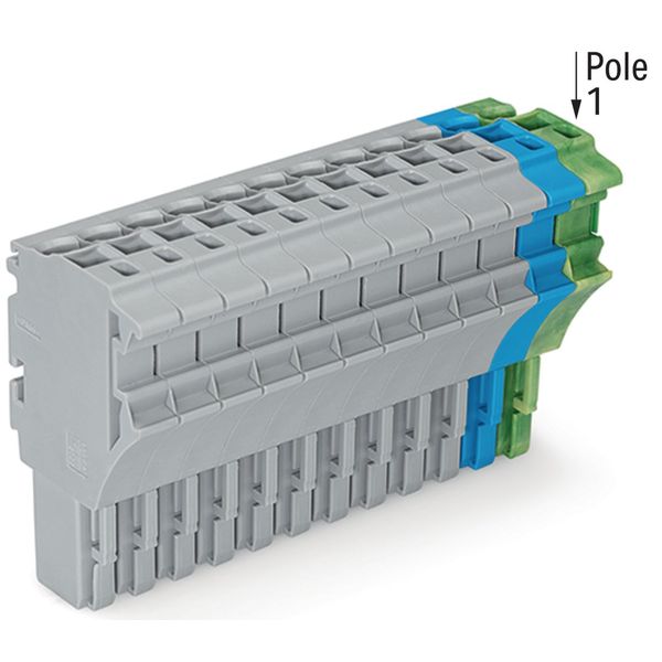 1-conductor female connector Push-in CAGE CLAMP® 4 mm² gray/blue/green image 2