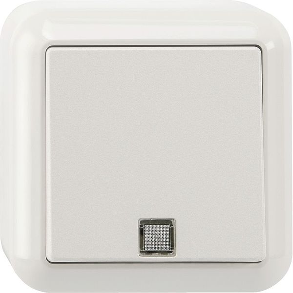 Button with orientation light and N terminal, 1-pole changeover, polar white, surface-mounted image 1