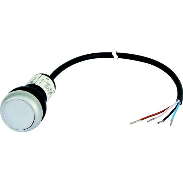 Illuminated pushbutton actuator, Flat, momentary, 1 N/O, Cable (black) with non-terminated end, 4 pole, 1 m, LED white, White, Blank, 24 V AC/DC, Beze image 1