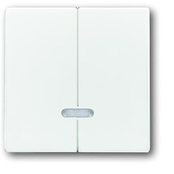 6545-84 CoverPlates (partly incl. Insert) future®, Busch-axcent®, solo®; carat® Studio white image 1