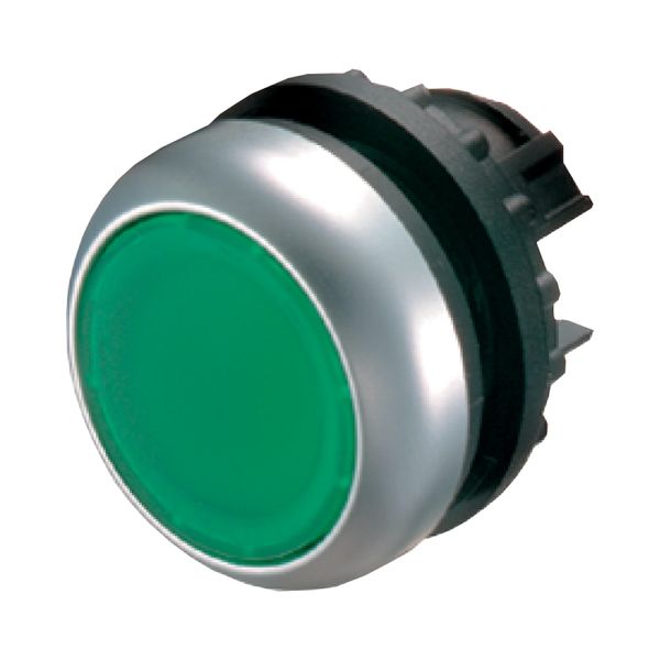 Illuminated pushbutton actuator, RMQ-Titan, Flush, momentary, green, Blank, Bezel: titanium image 2