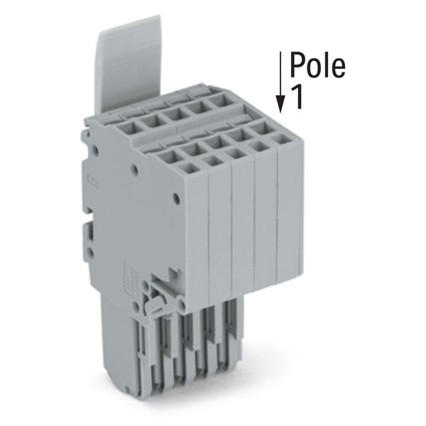 2-conductor female connector Push-in CAGE CLAMP® 1.5 mm² gray image 2