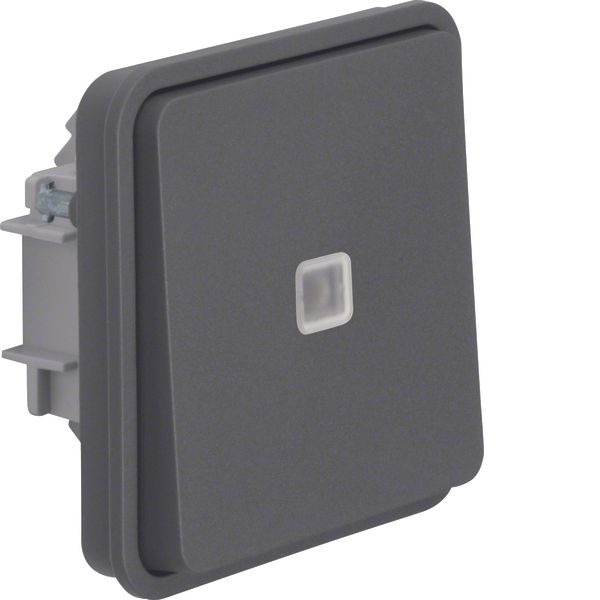 Illuminated change-over switch insert with rocker, W.1, grey image 1