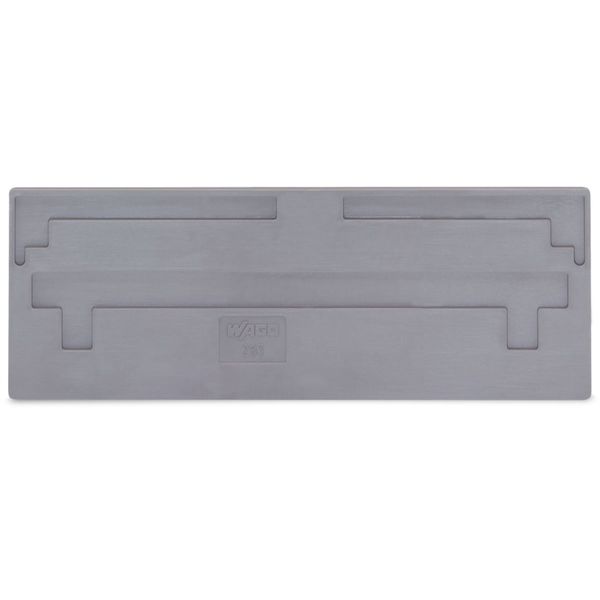 Separator plate 2 mm thick oversized light gray image 1