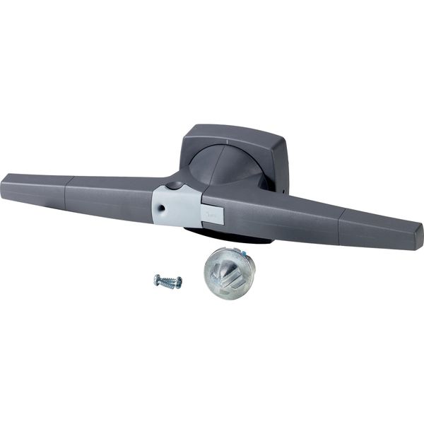 Toggle, 14mm, door installation, gray, padlock image 3