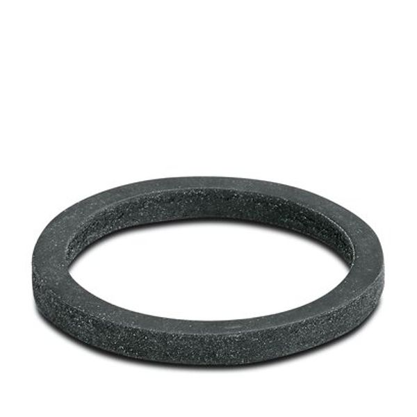 Flat gasket image 1