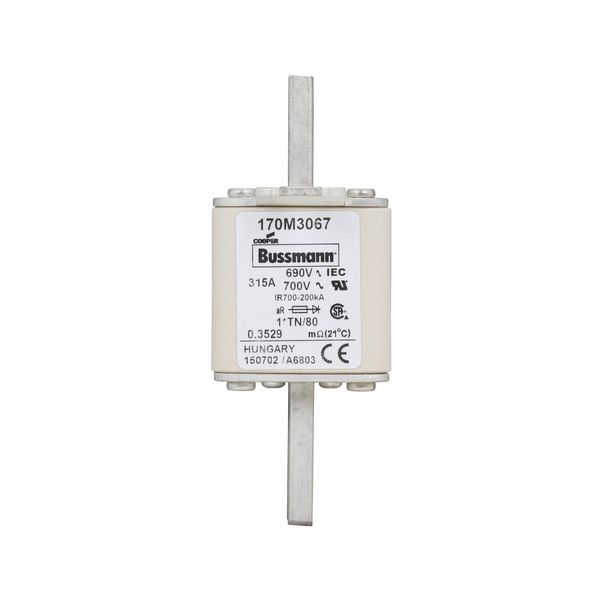 Fuse-link, high speed, 315 A, AC 690 V, compact DIN 1, 45 x 58 x 104 mm, aR, DIN, IEC, single indicator image 6