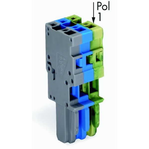 1-conductor female connector CAGE CLAMP® 4 mm² gray/blue/green-yellow image 2